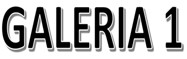 GALERIA 1